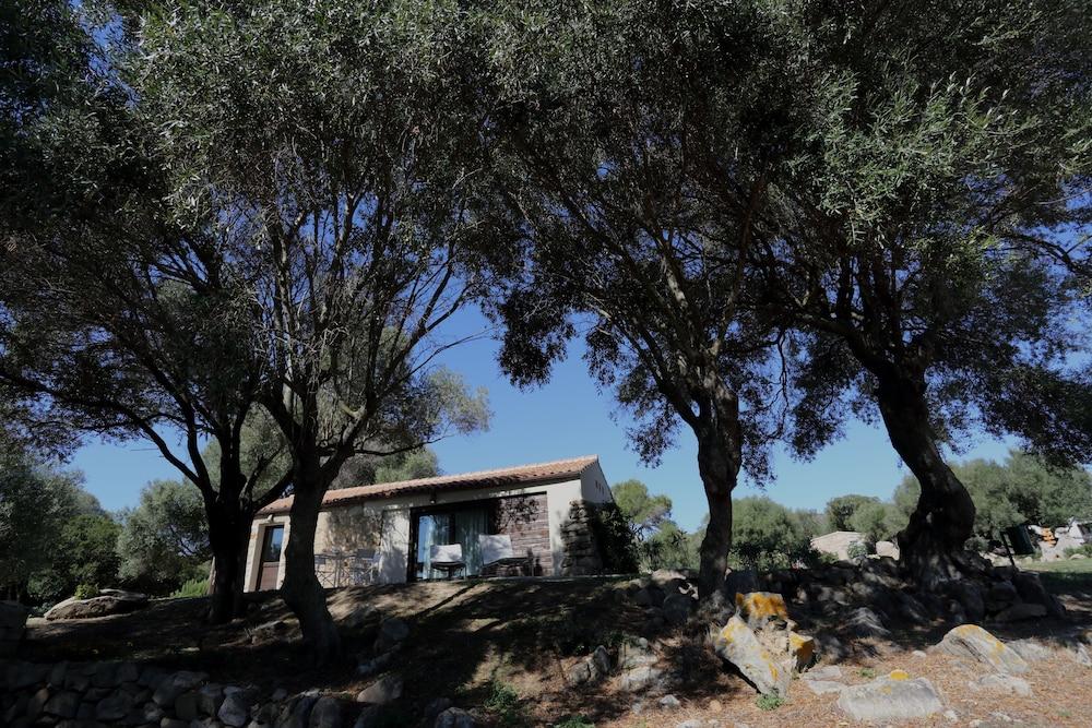 Liscia Country Relais Guest House Sant'Antonio di Gallura Ngoại thất bức ảnh
