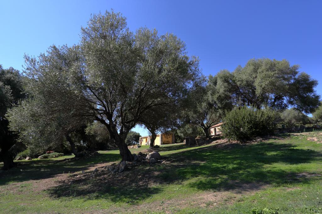 Liscia Country Relais Guest House Sant'Antonio di Gallura Ngoại thất bức ảnh