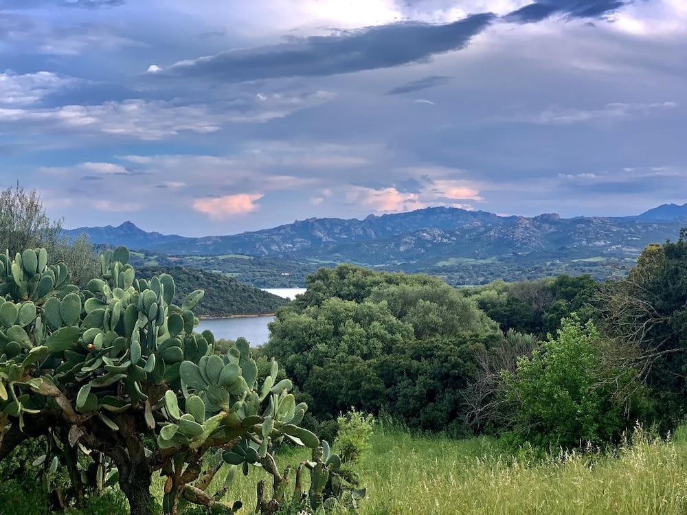 Liscia Country Relais Guest House Sant'Antonio di Gallura Ngoại thất bức ảnh