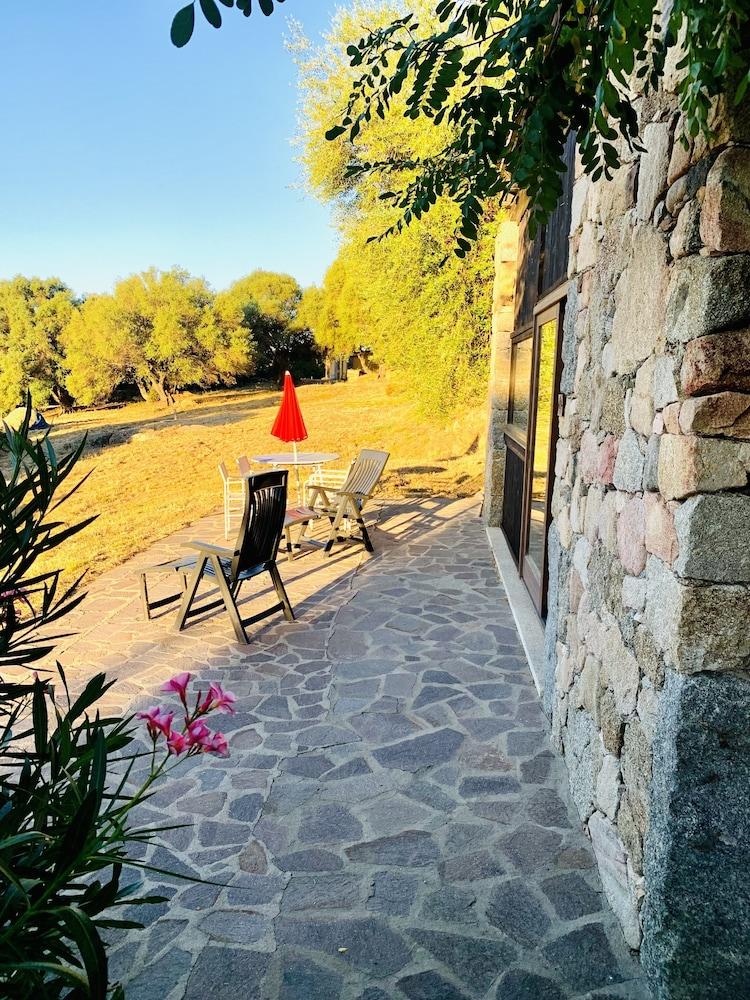 Liscia Country Relais Guest House Sant'Antonio di Gallura Ngoại thất bức ảnh