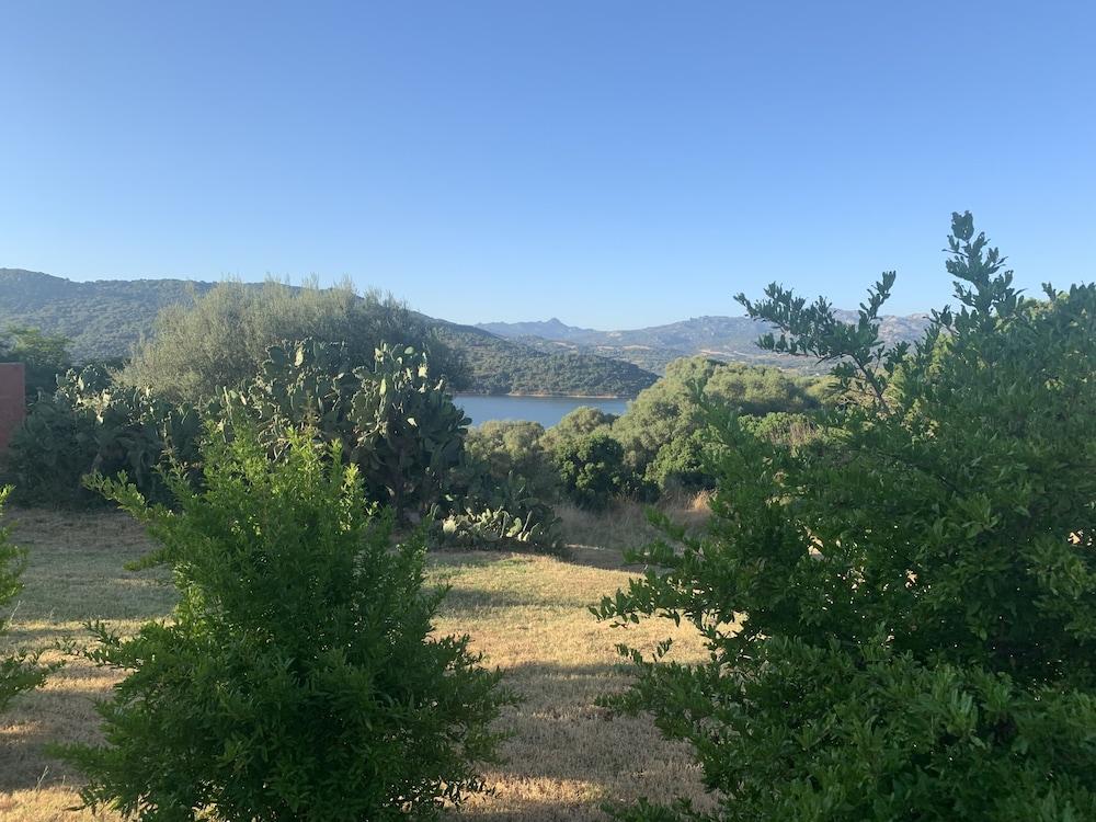 Liscia Country Relais Guest House Sant'Antonio di Gallura Ngoại thất bức ảnh