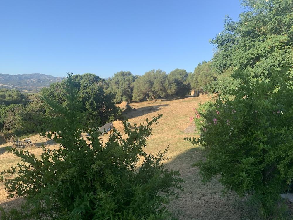 Liscia Country Relais Guest House Sant'Antonio di Gallura Ngoại thất bức ảnh