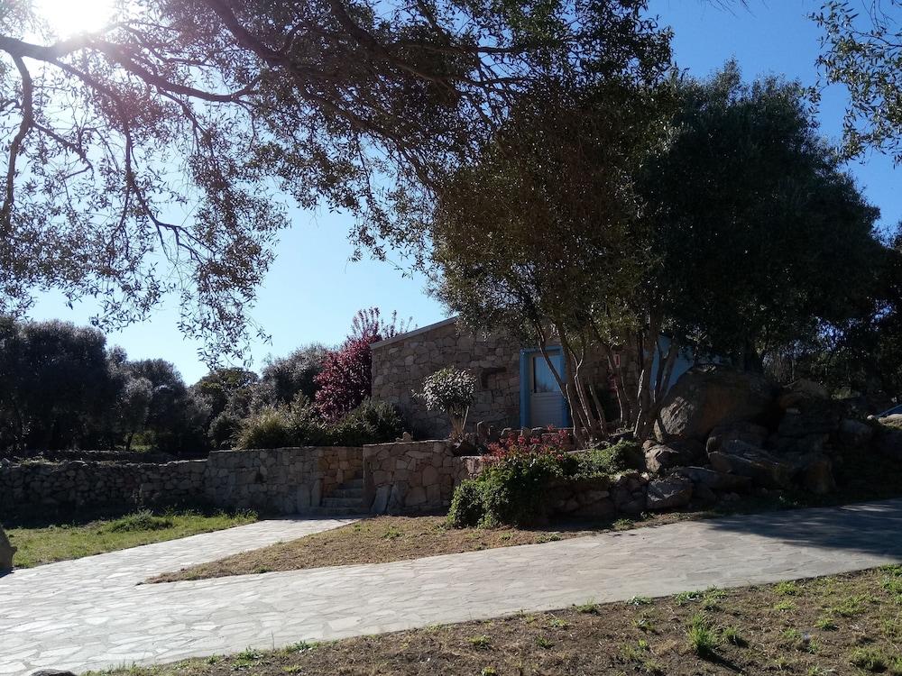 Liscia Country Relais Guest House Sant'Antonio di Gallura Ngoại thất bức ảnh